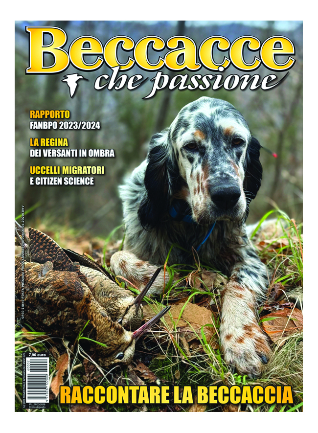 BECCACCE CHE PASSIONE | Abbonamento Carta 6 numeri - ITALIA | BCP_C