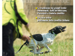 GAZZETTA DELLA CINOFILIA | Abbonamento Carta + Digitale 12 numeri - ITALIA | GAZ_CD