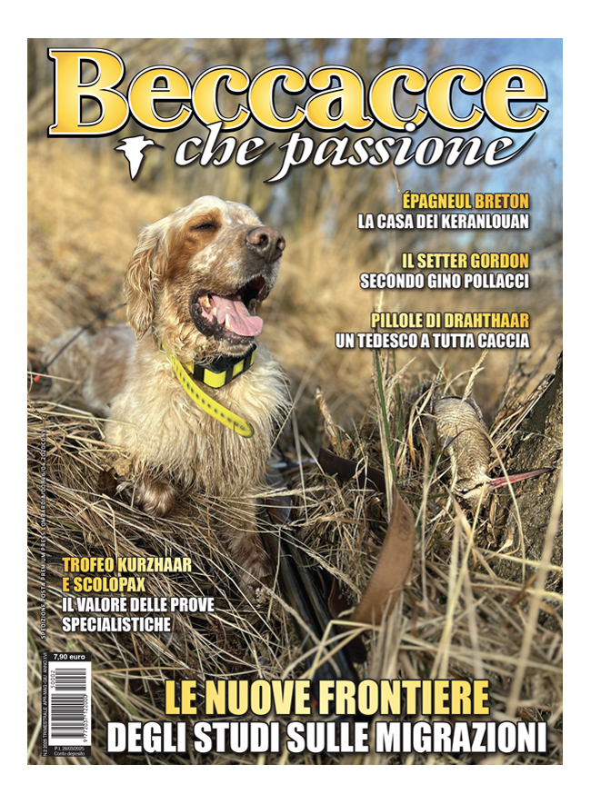 BECCACCE CHE PASSIONE - Aprile / Maggio / Giugno 2025 - digitale