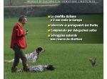 GAZZETTA DELLA CINOFILIA - Maggio 2025 - digitale