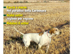 GAZZETTA DELLA CINOFILIA - Ottobre  2023 - cartaceo