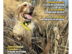 BECCACCE CHE PASSIONE - Aprile / Maggio / Giugno 2025 - cartaceo