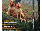BECCACCE CHE PASSIONE - Luglio / Agosto / Settembre 2023 - cartaceo