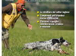 GAZZETTA DELLA CINOFILIA - Luglio 2026 - digitale
