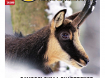 CACCIA MAGAZINE - Dicembre 2022 - cartaceo